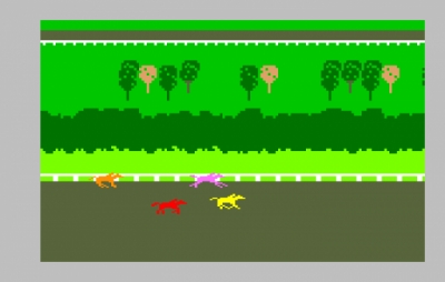 Screen ze hry Horse Racing