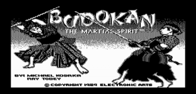 Screen ze hry Budokan: The Martial Spirit