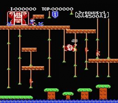 Screen ze hry Donkey Kong Jr.