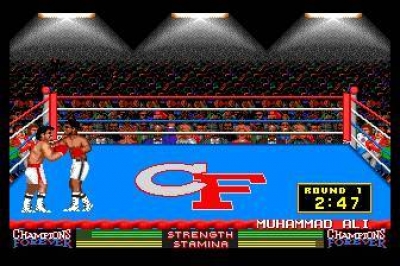 Screen ze hry Champions Forever Boxing