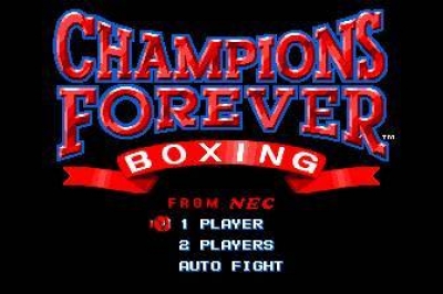 Screen ze hry Champions Forever Boxing