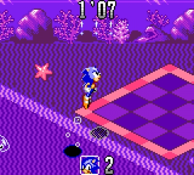 Screen ze hry Sonic Labyrinth