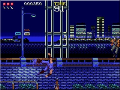 Screen ze hry Ninja Gaiden