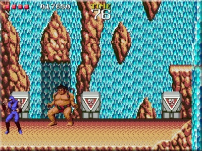 Screen ze hry Ninja Gaiden