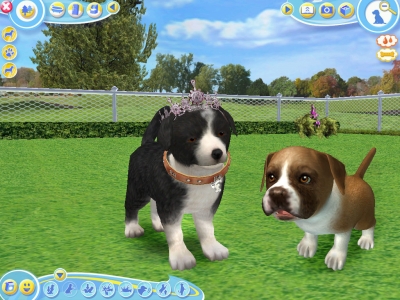 Screen ze hry Petz Dogz 2