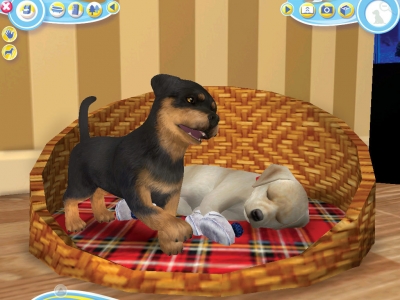 Screen ze hry Petz Dogz 2