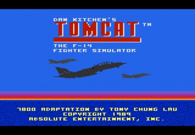 Screen ze hry Tomcat: The F-14 Fighter Simulator