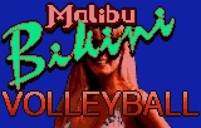 Screen ze hry Malibu Bikini Volleyball