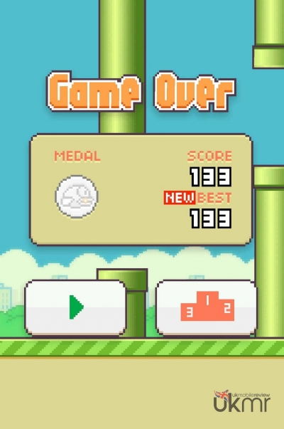 Screen ze hry Flappy Bird