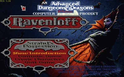 Screen ze hry Ravenloft: Strahds Possession