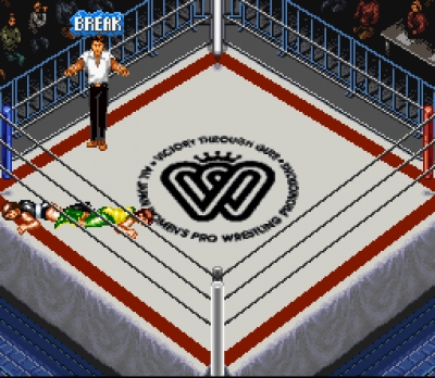 Screen ze hry Super Fire Pro Wrestling: Queens Special