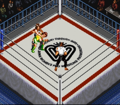 Screen ze hry Super Fire Pro Wrestling: Queens Special