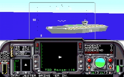 Screen ze hry F-14 Tomcat