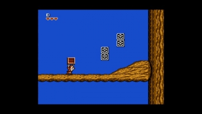 Screen ze hry The Disney Afternoon Collection