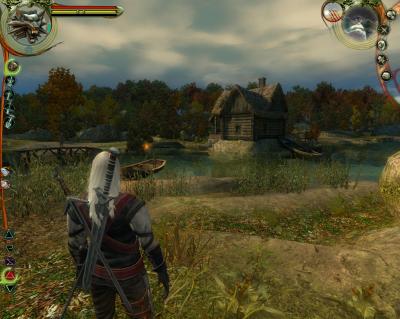 Screen ze hry Witcher, The