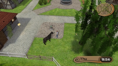 Screen ze hry My Riding Stables: Life with Horses