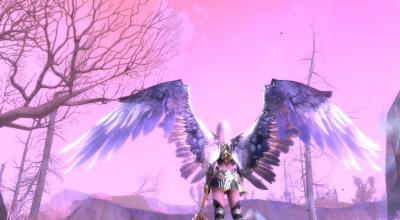 Screen ze hry Aion: Tower of Eternity