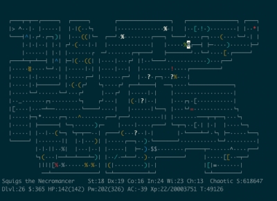 Screen ze hry NetHack