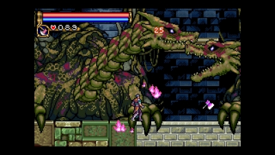 Screen ze hry Castlevania Advance Collection