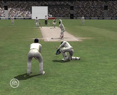 Screen Cricket 07