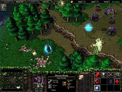 Screen ze hry Warcraft III: Battle Chest