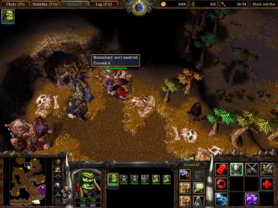 Screen ze hry Warcraft III: Reign of Chaos