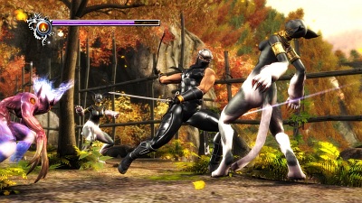 Screen Ninja Gaiden Sigma