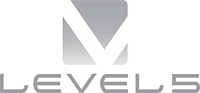 Level 5