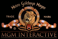 MGM Interactive