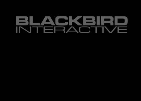 Blackbird Interactive